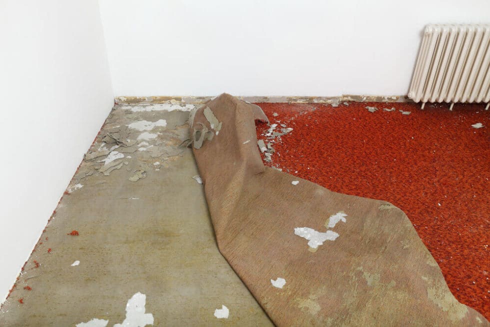 do-landlords-need-to-replace-carpets